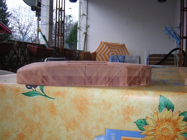 le chanfrein bras droit.JPG